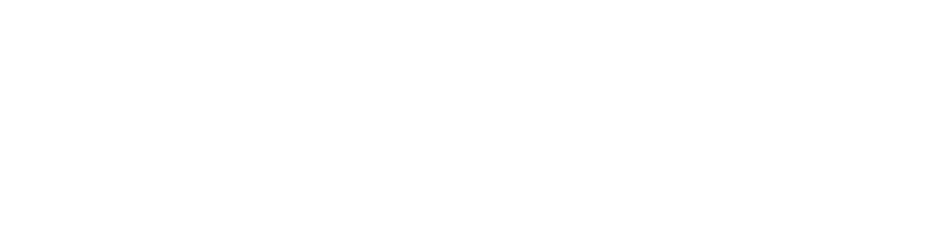 Raccoon Studio
